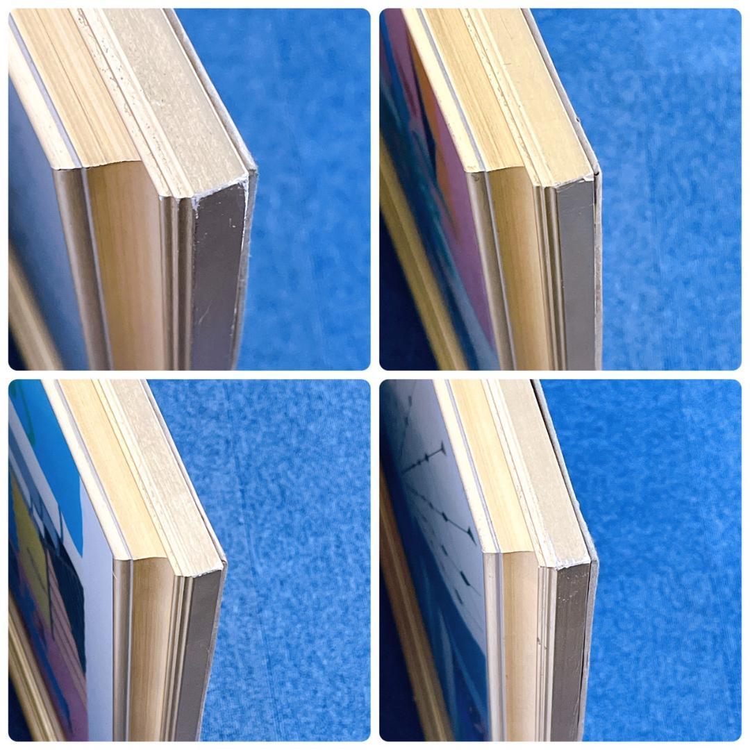 GiselaRomeroDedeCasulallide シルクスクリーン特大絵画