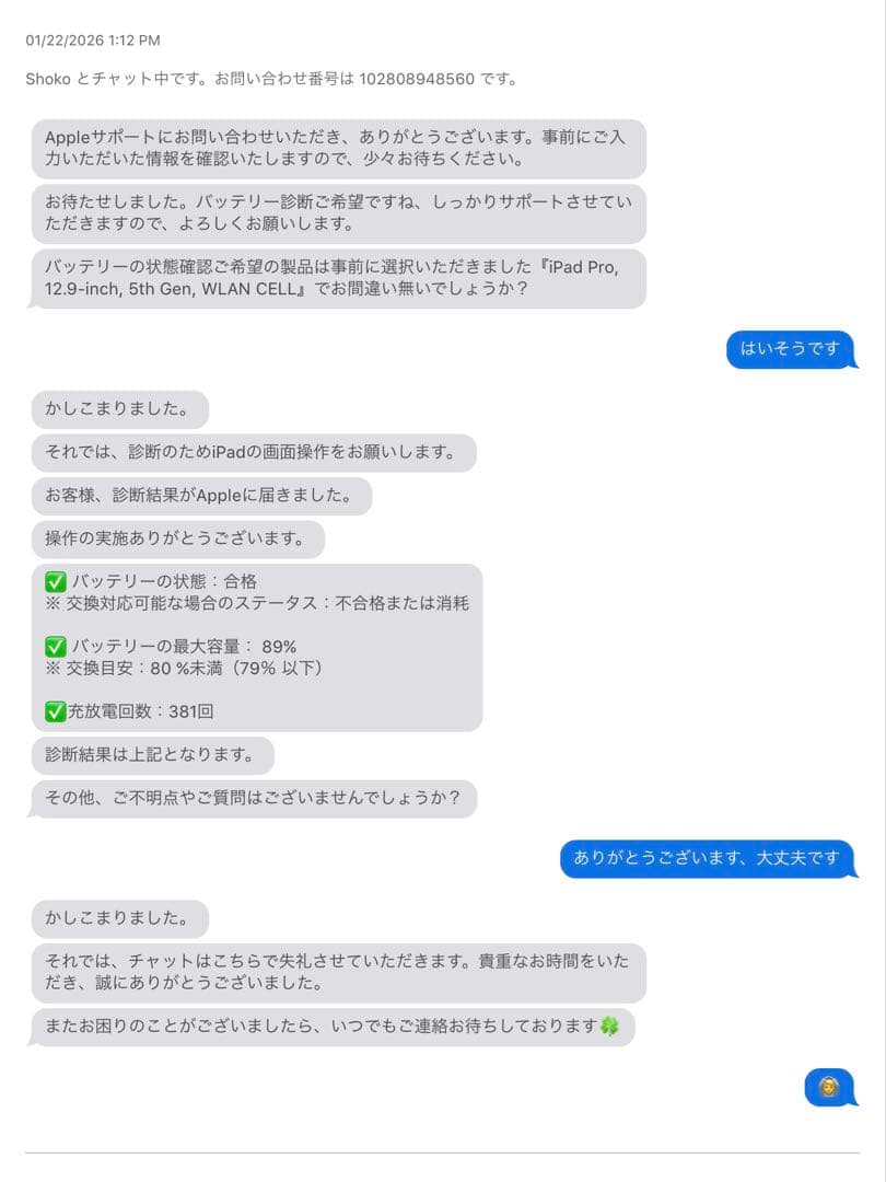 iPad Pro 12.9インチ (第5世代) ApplePencil2付属