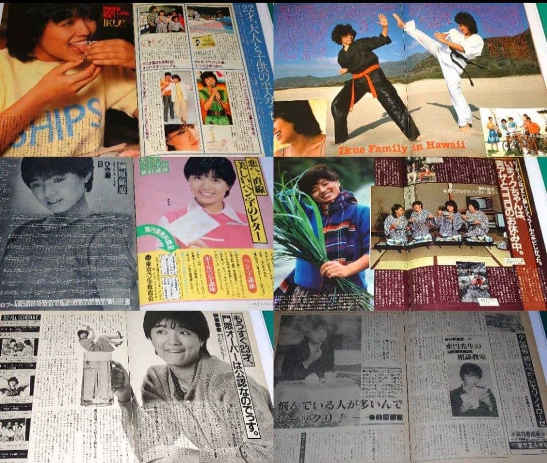 榊原郁恵　1977年〜1985年 大量　切り抜き　ファイル　2冊　116P