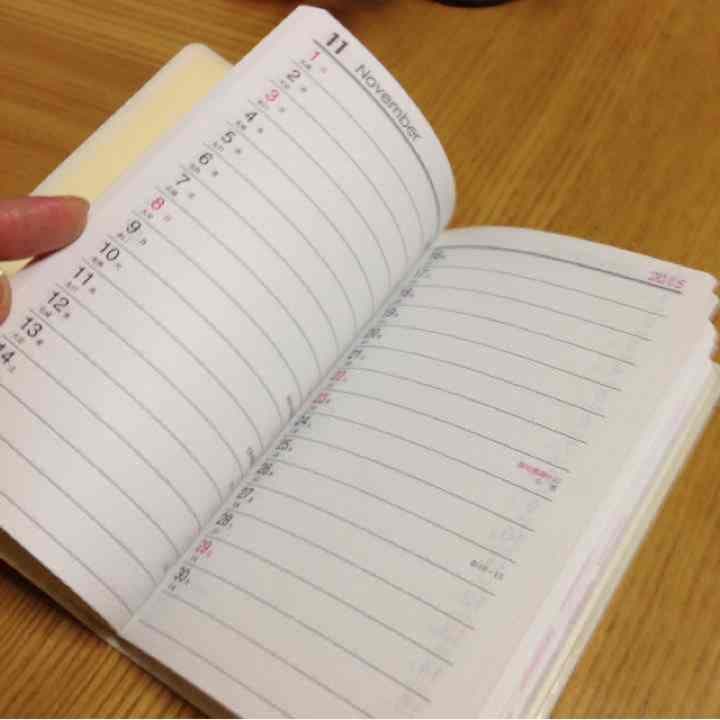 スケジュール帳 確認用。