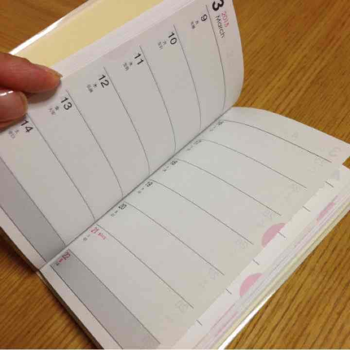 スケジュール帳 確認用。