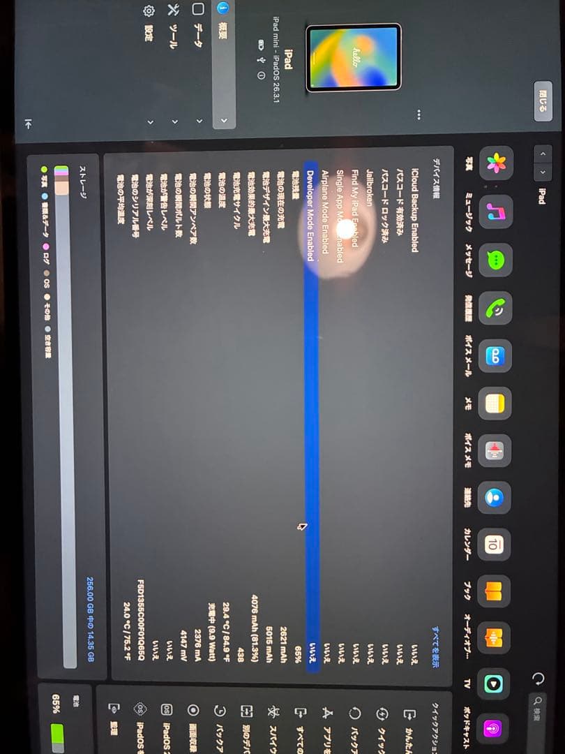 iPad mini 6 256GB セルラー＋Apple Pencil 2