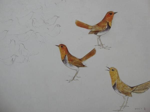 上村　淳之、駒鳥（コマドリ）、希少画集画、新品額装付