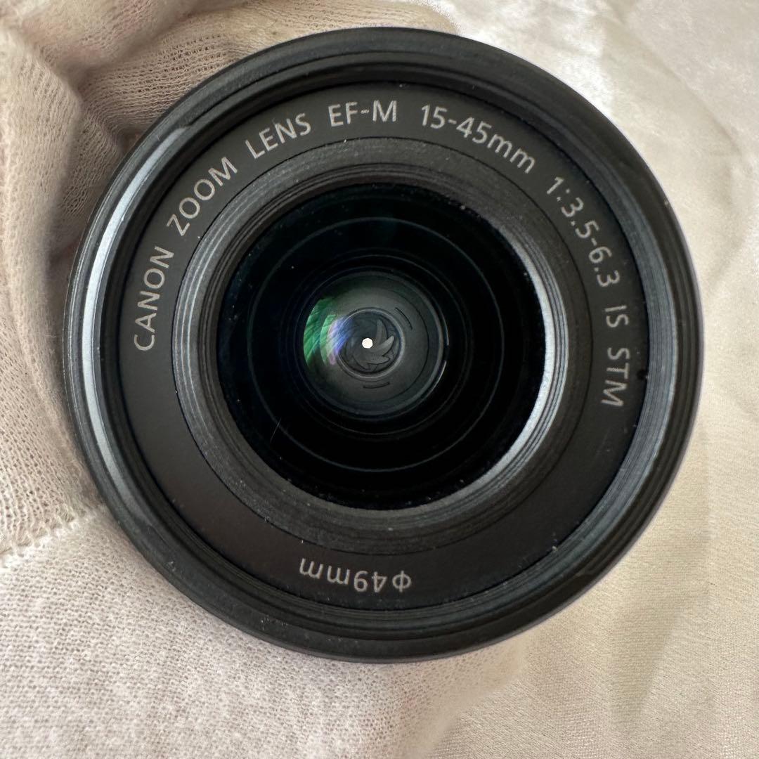 Canon EOS M100 ミラーレスカメラ 充電器　バッテリー　SDカード