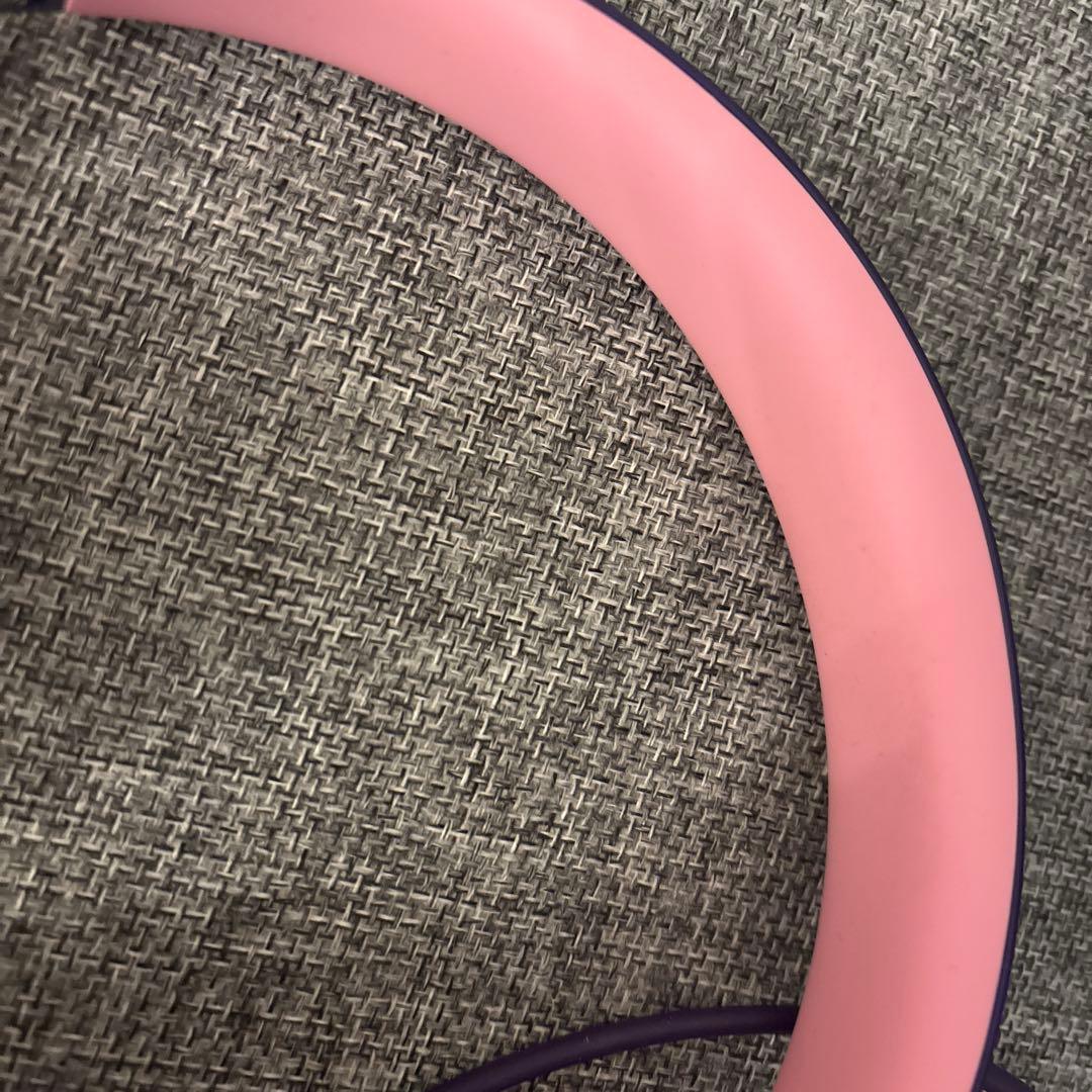 【ピラニアのP！！！】