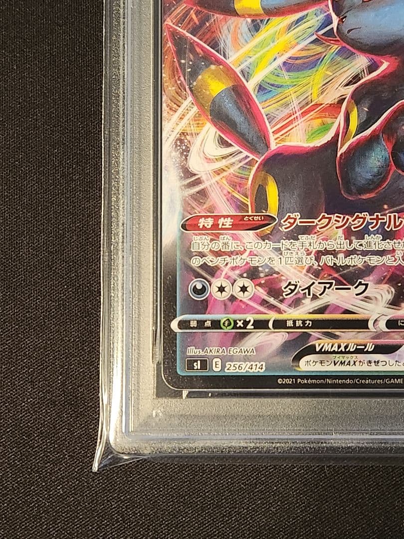 ブラッキー vmax ノーマル仕様 PSA10