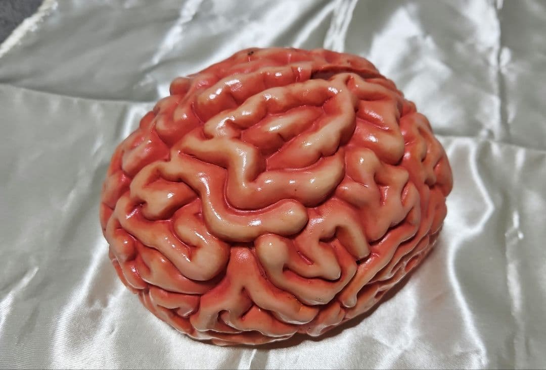 脳みそ　脳ミソ　貯金箱　模型　インテリア　置物　ハロウィン　夏油　呪術廻戦