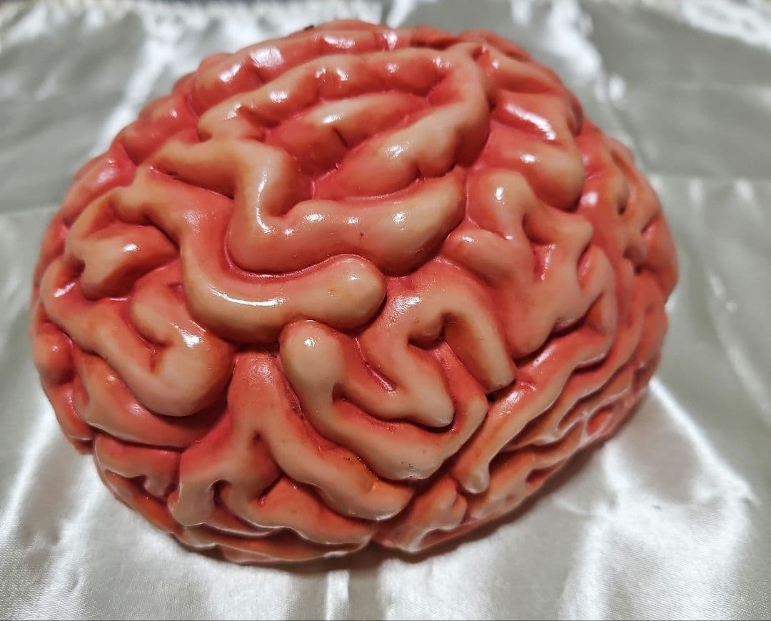 脳みそ　脳ミソ　貯金箱　模型　インテリア　置物　ハロウィン　夏油　呪術廻戦