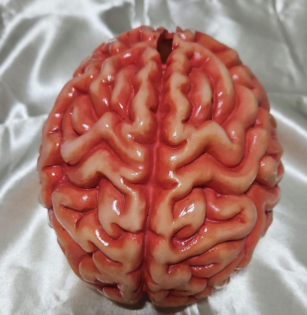 脳みそ　脳ミソ　貯金箱　模型　インテリア　置物　ハロウィン　夏油　呪術廻戦