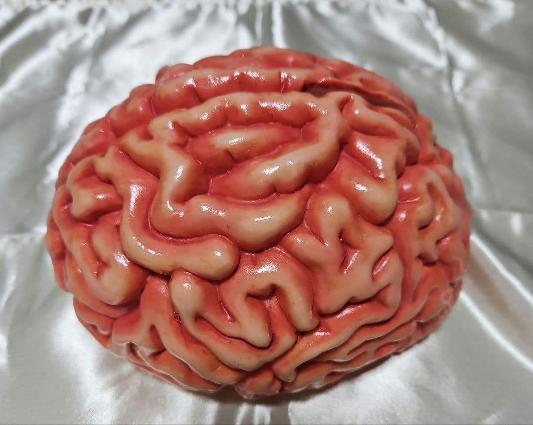 脳みそ　脳ミソ　貯金箱　模型　インテリア　置物　ハロウィン　夏油　呪術廻戦