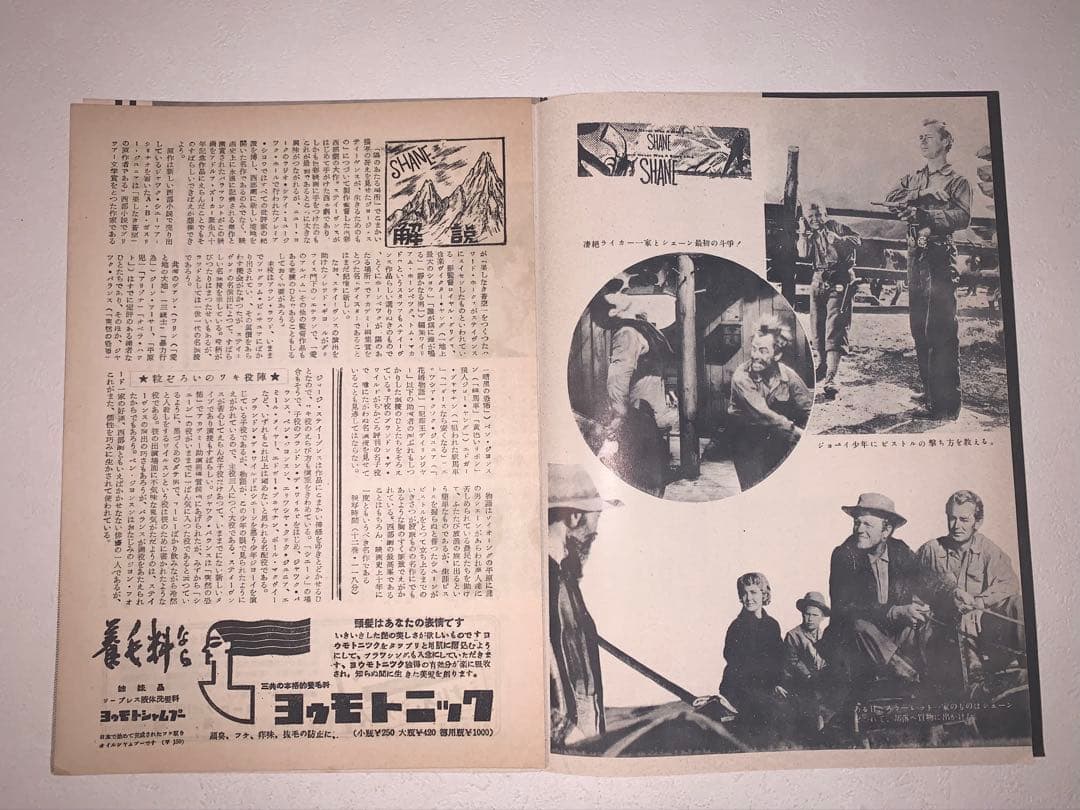 映画「シェーン 」パンフレット　昭和28年発行