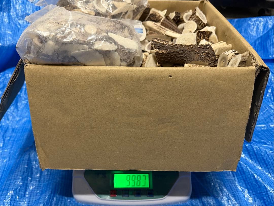 鹿の角　端材　約10kg