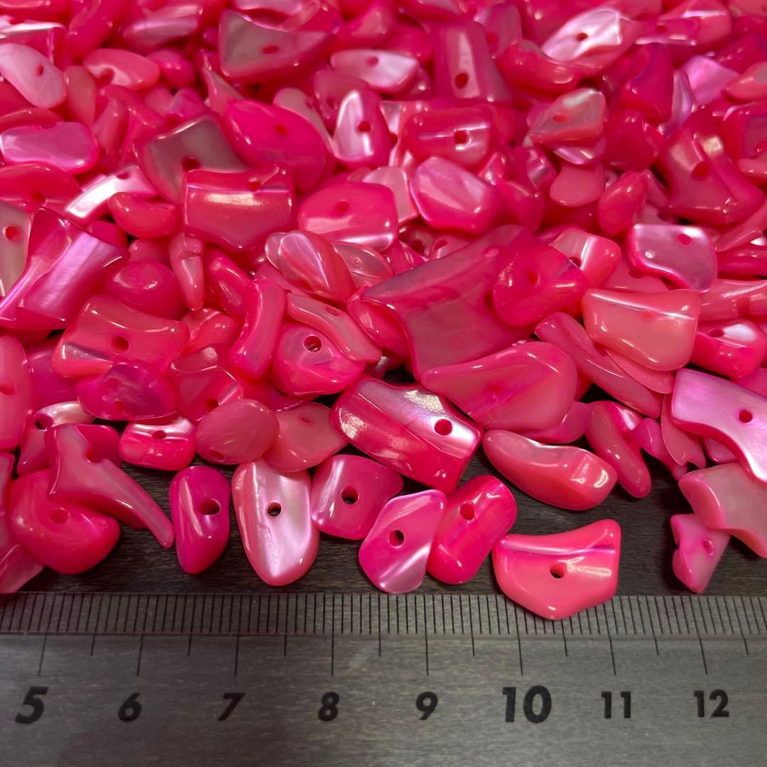 貝のアクセサリーパーツ　300g