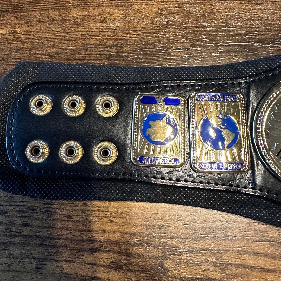 WWE US王座 IC王座 ミニタイトルベルト