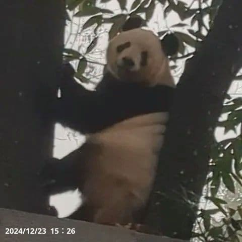 【休暇のお知らせ】12月22日(日)〜12月26日(木