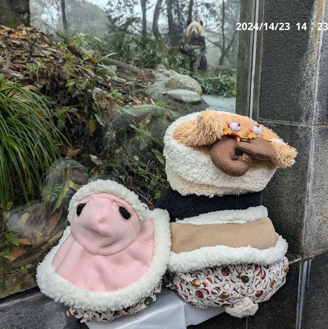 【休暇のお知らせ】12月22日(日)〜12月26日(木