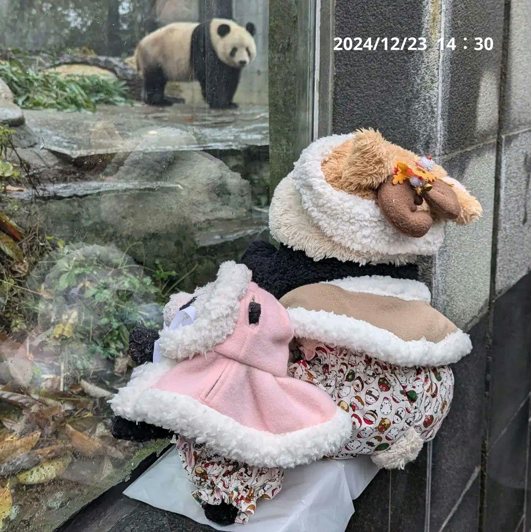 【休暇のお知らせ】12月22日(日)〜12月26日(木