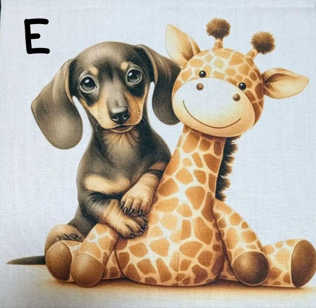 オーダー受付　ダックス　お友達　ご予約ページ　1/15