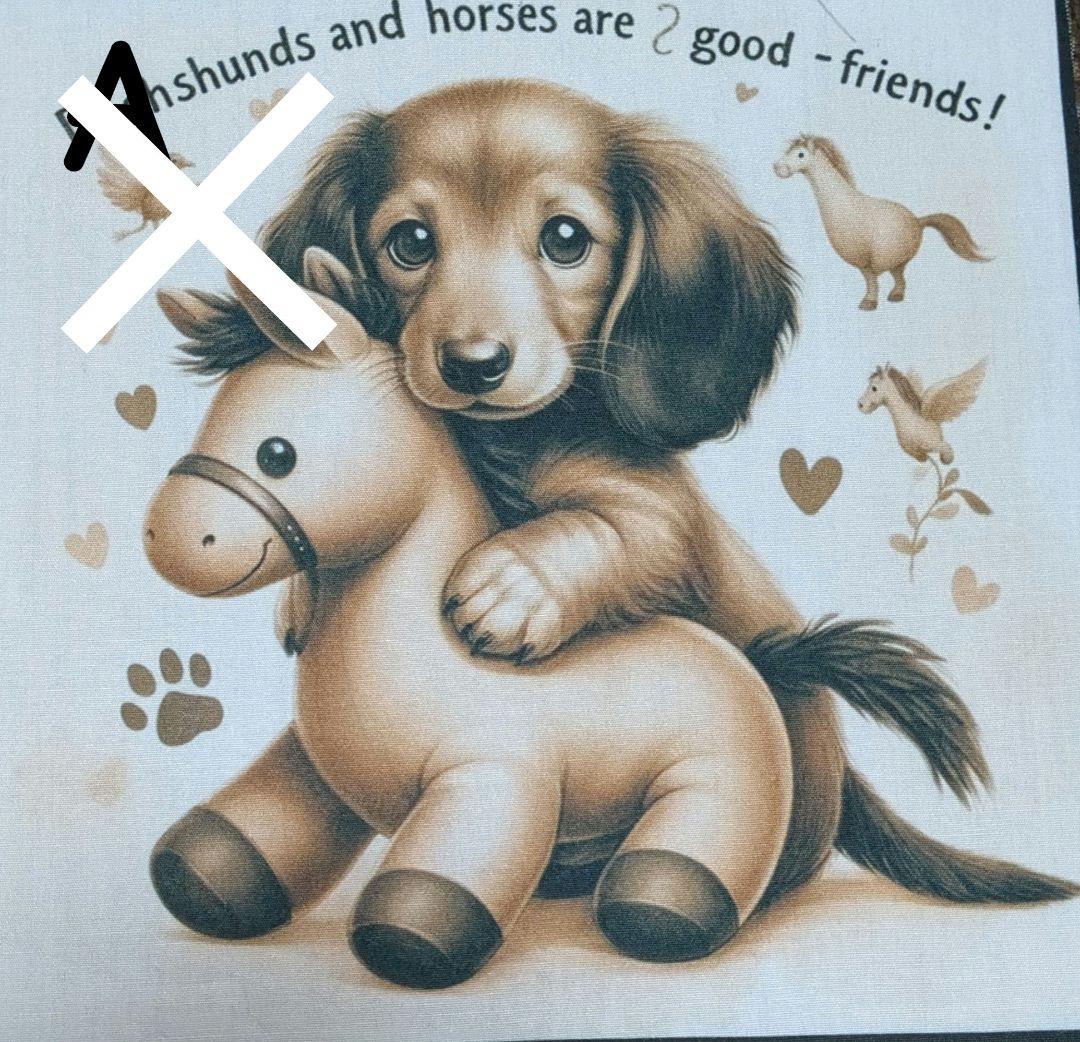 オーダー受付　ダックス　お友達　ご予約ページ　1/15