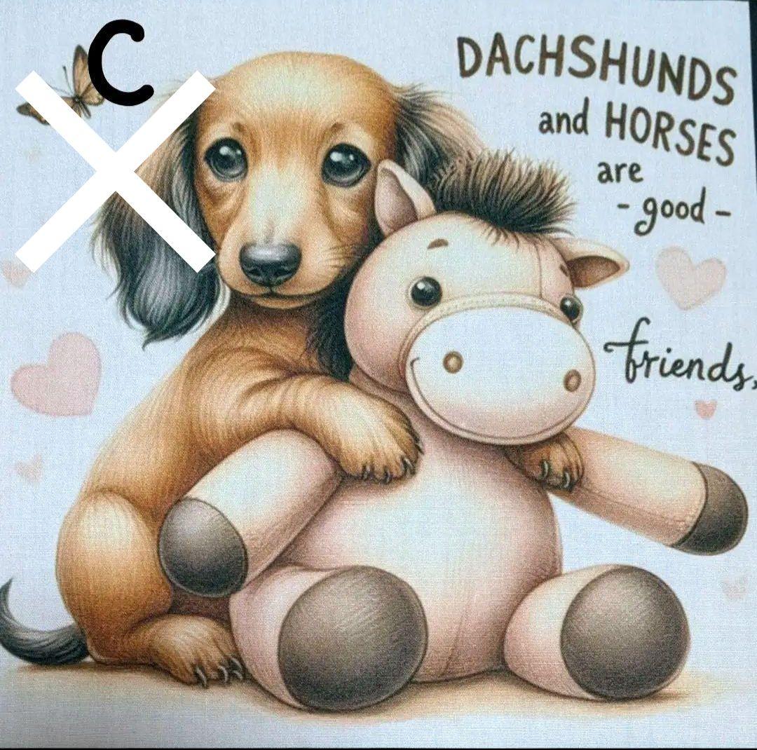 オーダー受付　ダックス　お友達　ご予約ページ　1/15