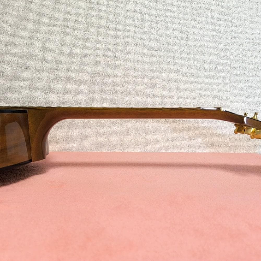 ギブソン アコースティックギター Gibson WM-45 2003年製 超レア