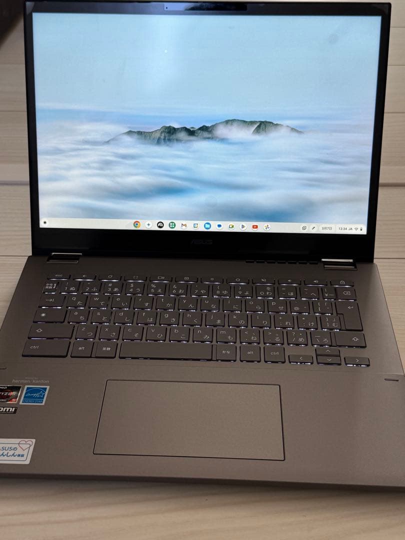 ASUS Chromebook Plus CM34 Flip 14インチ