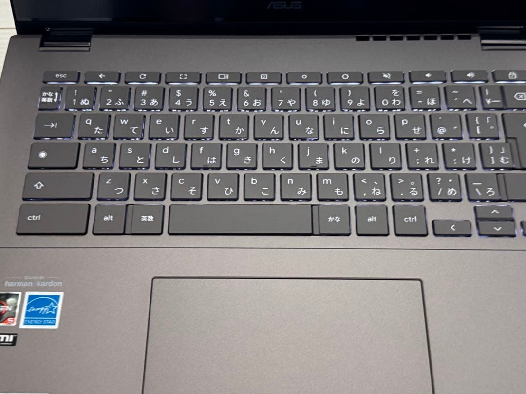 ASUS Chromebook Plus CM34 Flip 14インチ