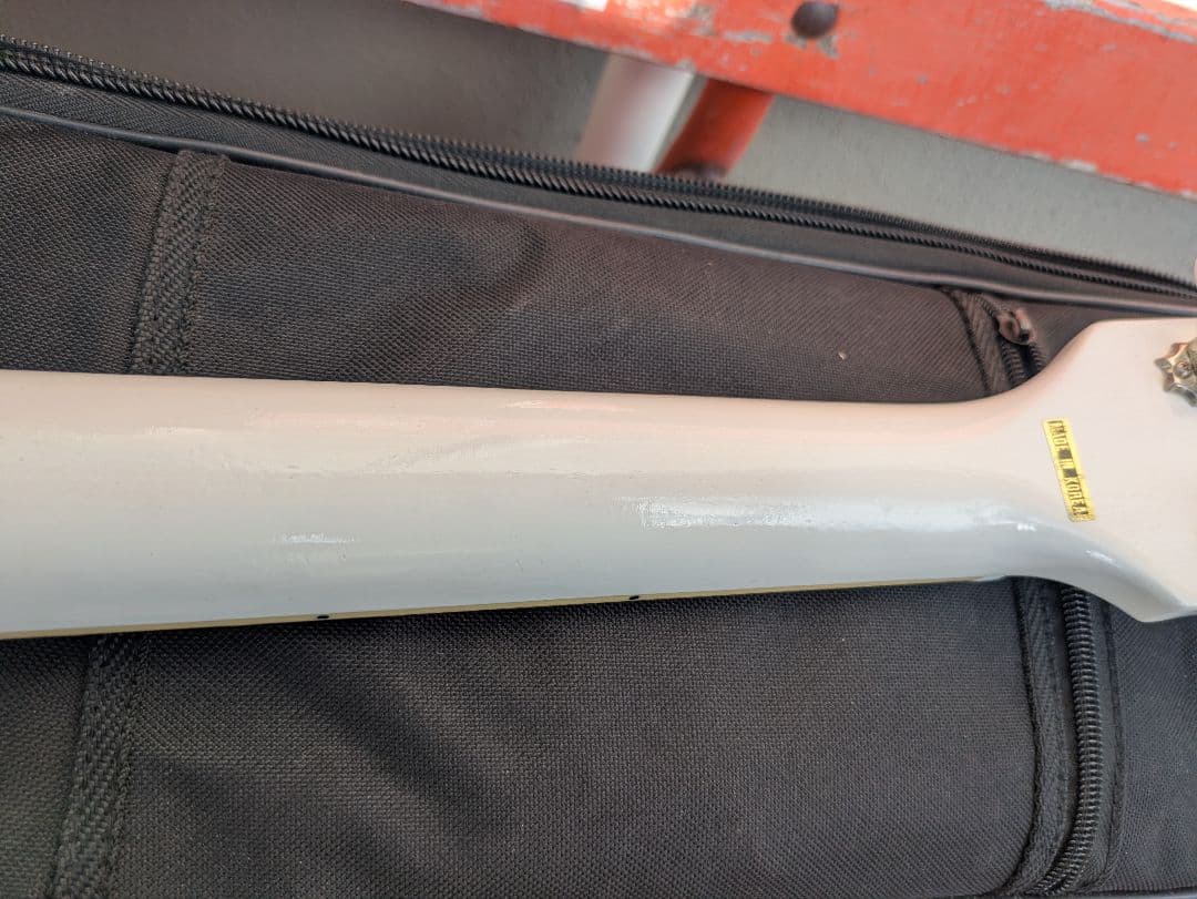 GrassRoots レスポール　スペシャル G-LS-57　ESP