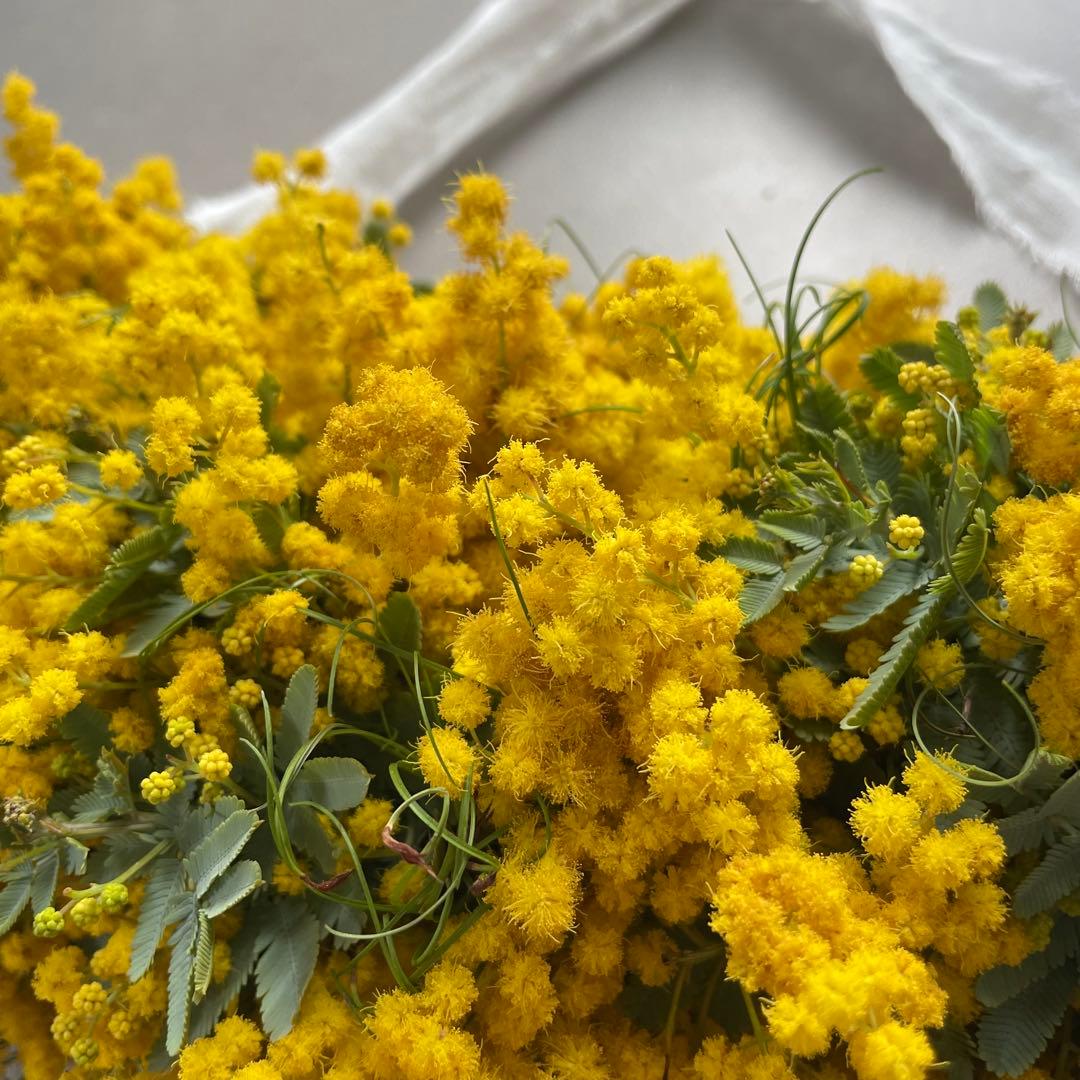 9.ミモザリボンリース