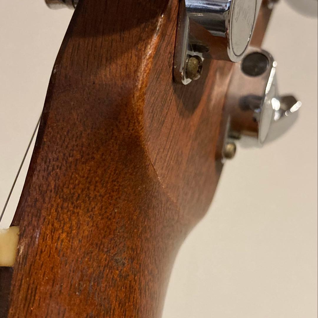 Martin DM RITTERケース Martin段ボール箱付　 訳あり