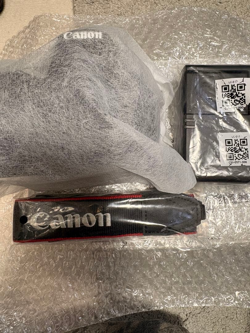 Canon EOS Kiss X9 ボディ 一眼レフカメラ 美品 Wi-Fi対応