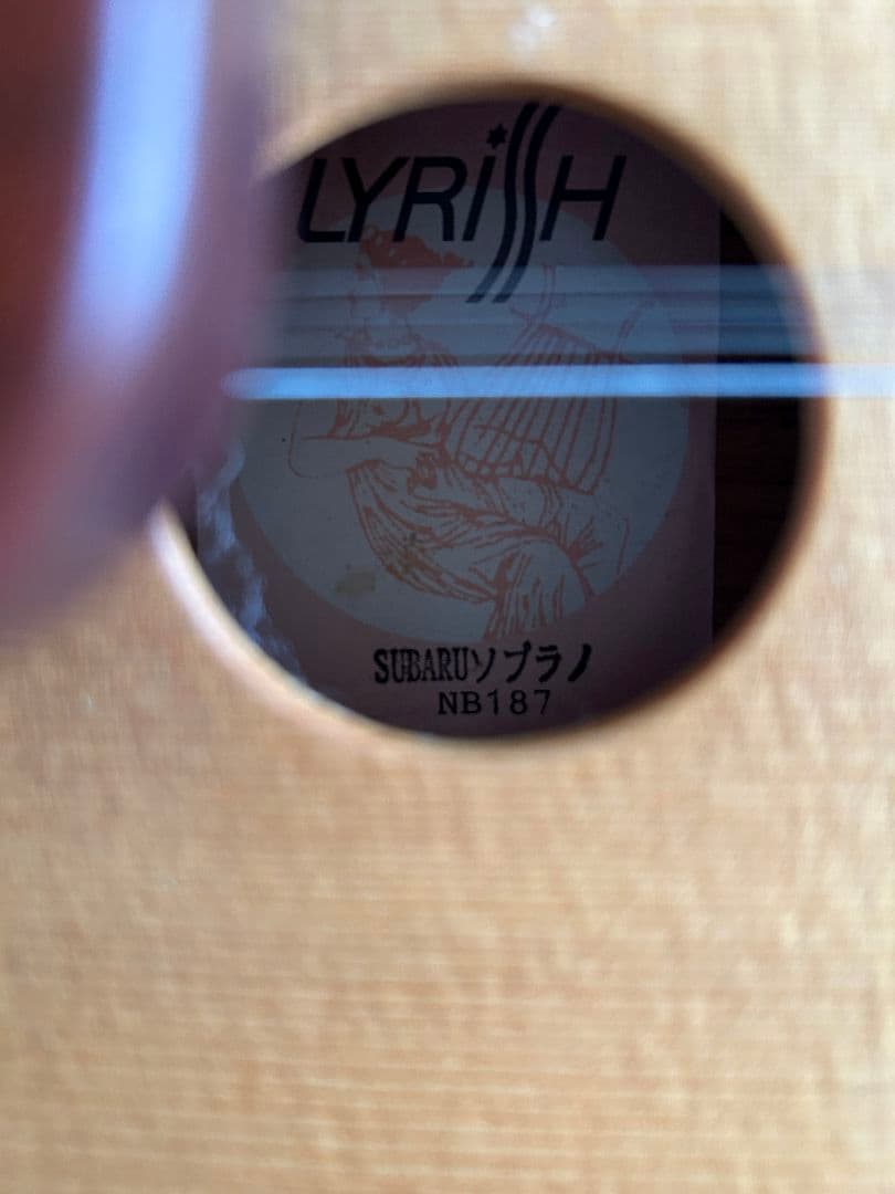 大正琴 ライリッシュ LYRISH SUBARU スバル ケース付き