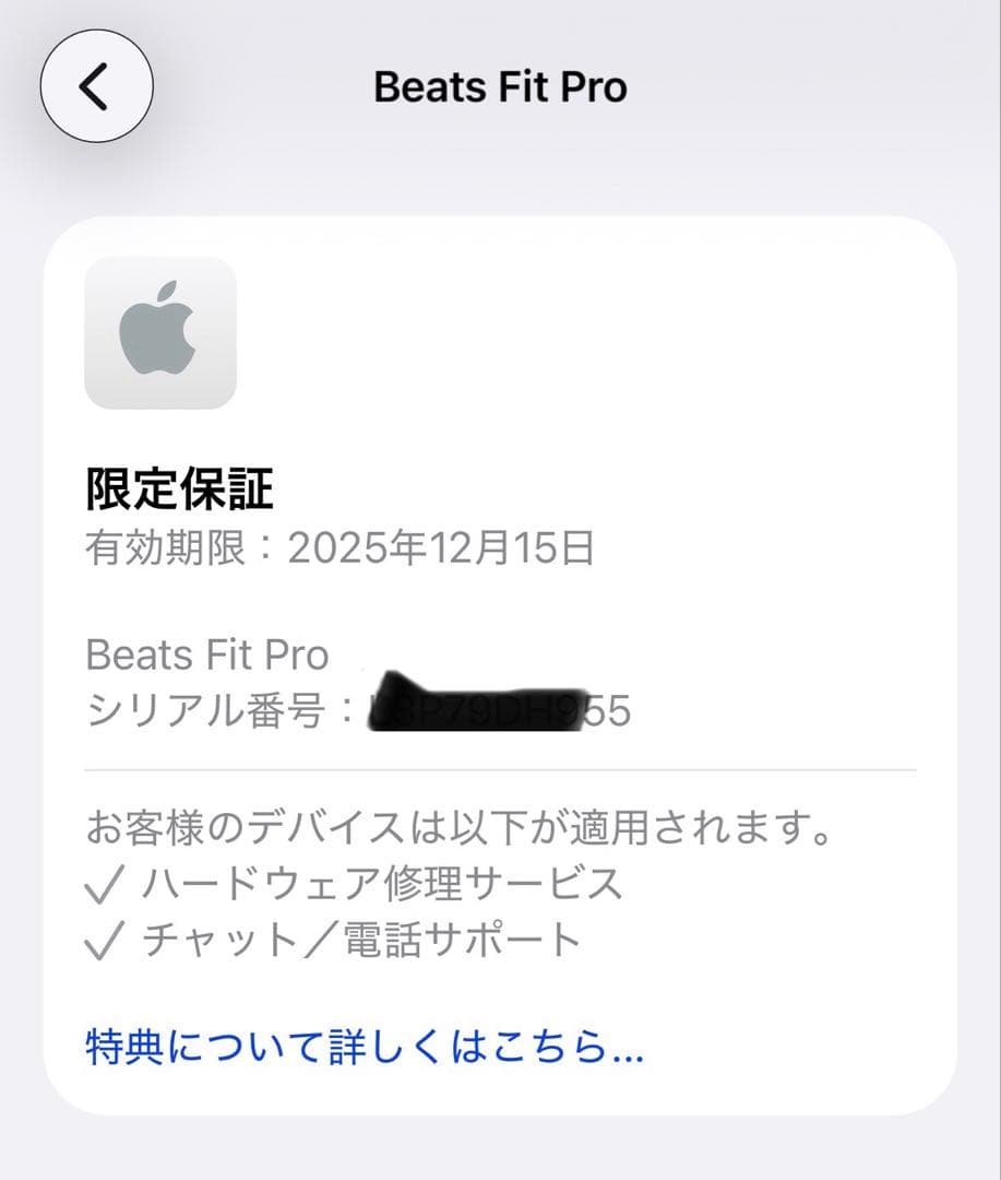 Beats Fit Pro ワイヤレスイヤホン グレー