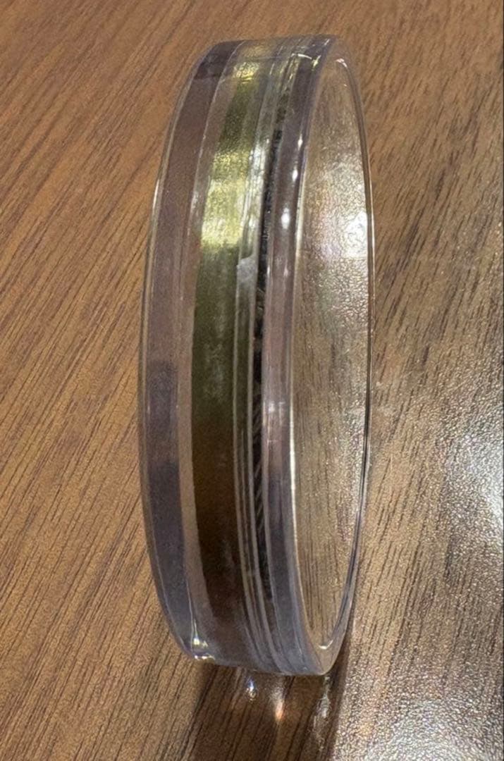 イギリス海軍　Prince of Wales R09 プリンスオブウェールズ