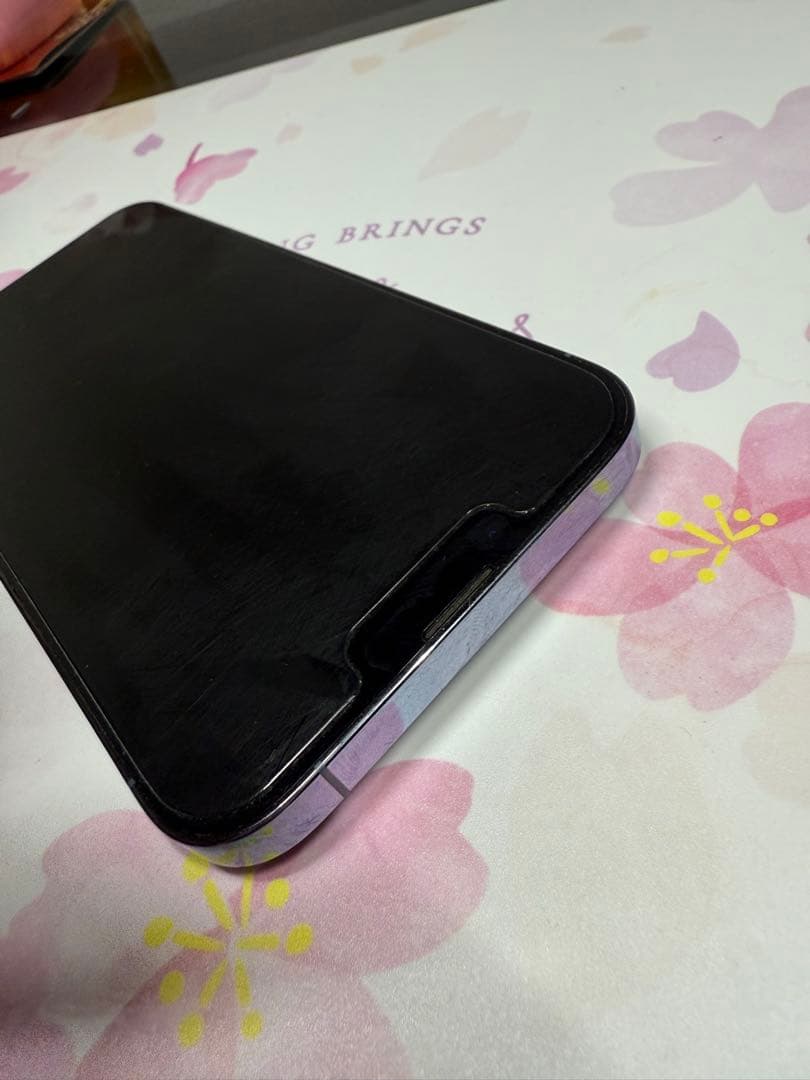 iPhone 13 Pro Max シエラブルー 256 GB SIMフリー