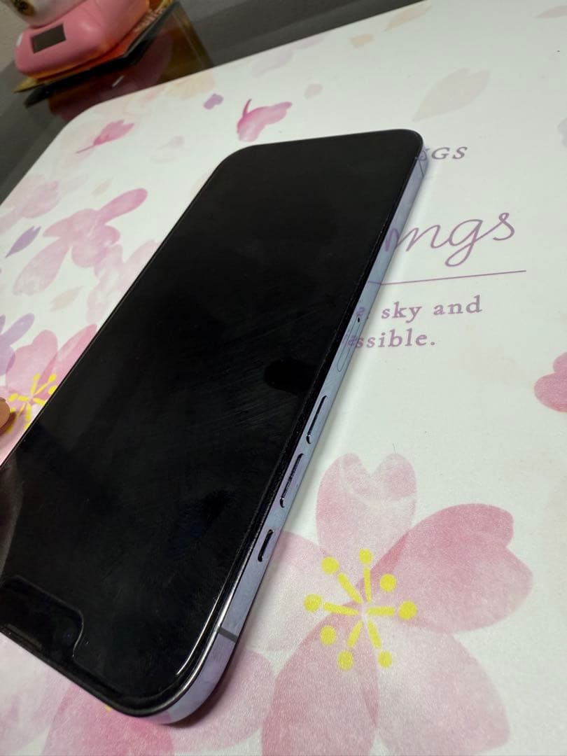 iPhone 13 Pro Max シエラブルー 256 GB SIMフリー