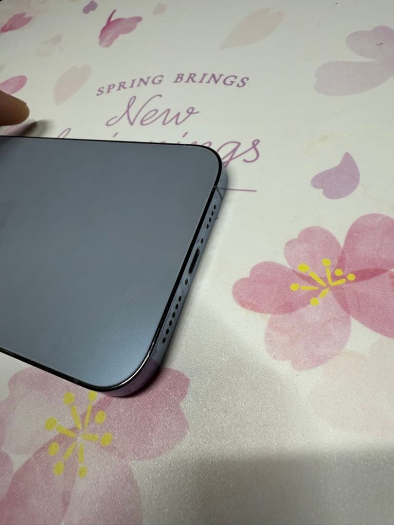 iPhone 13 Pro Max シエラブルー 256 GB SIMフリー