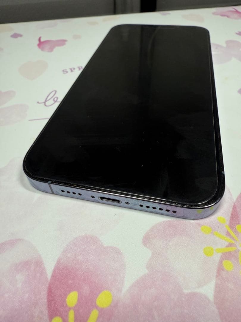 iPhone 13 Pro Max シエラブルー 256 GB SIMフリー