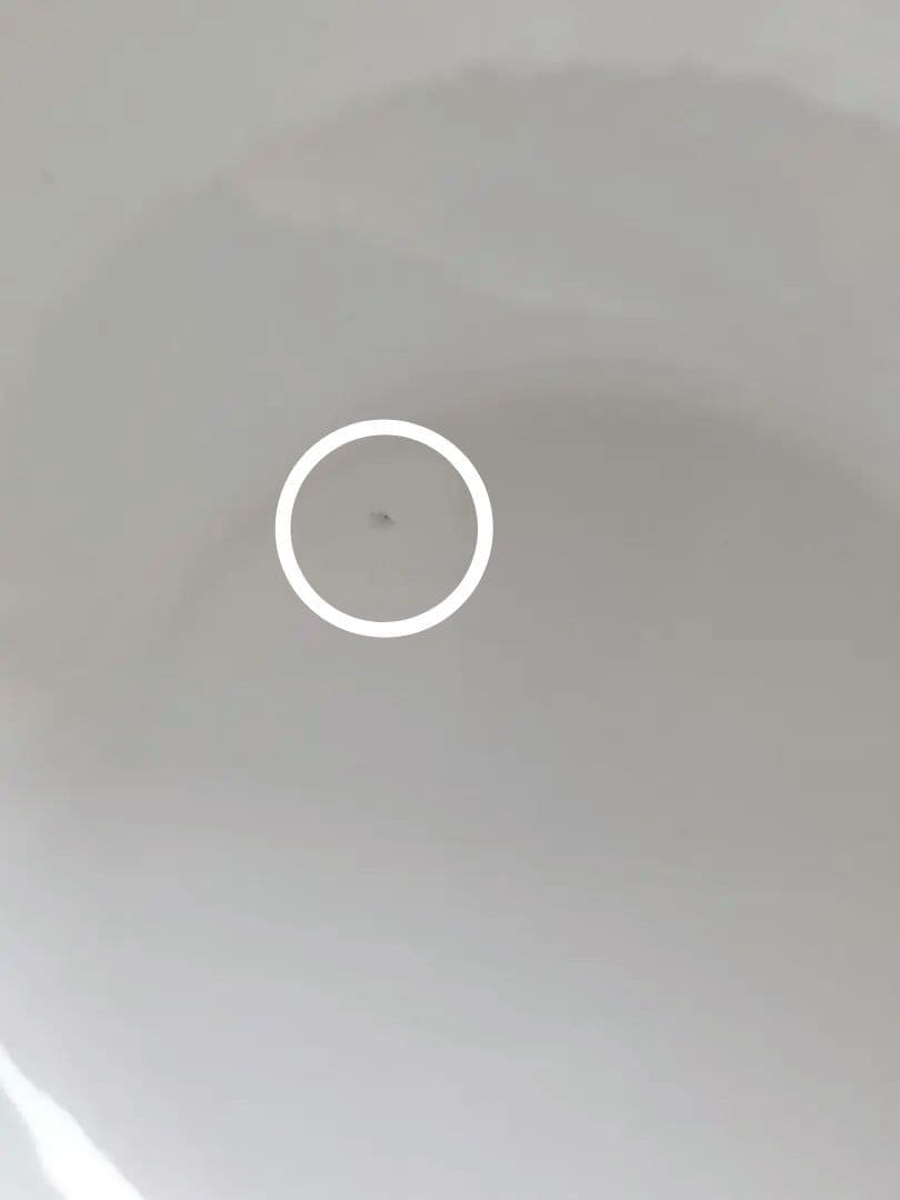 フィネル　マッシュルームきのこ　ボウル　FINEL