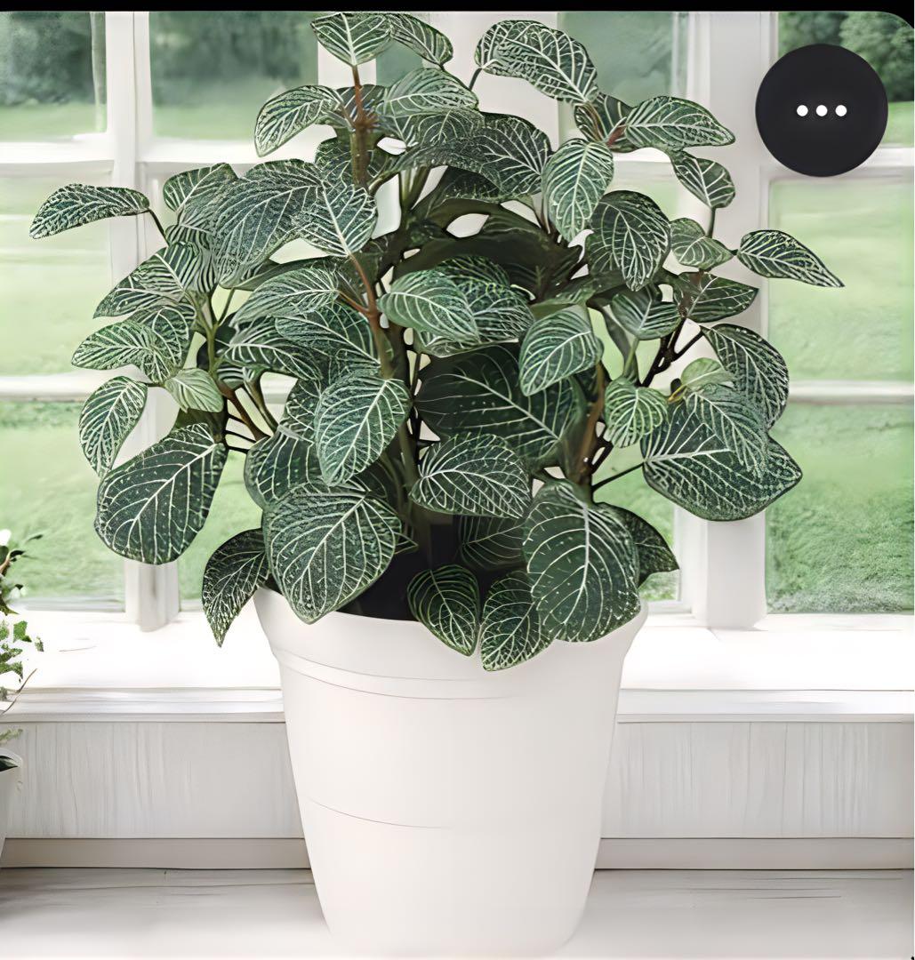 光触媒　人工観葉植物　ウォールグリーン　フェイクグリーン　フィットニア3540