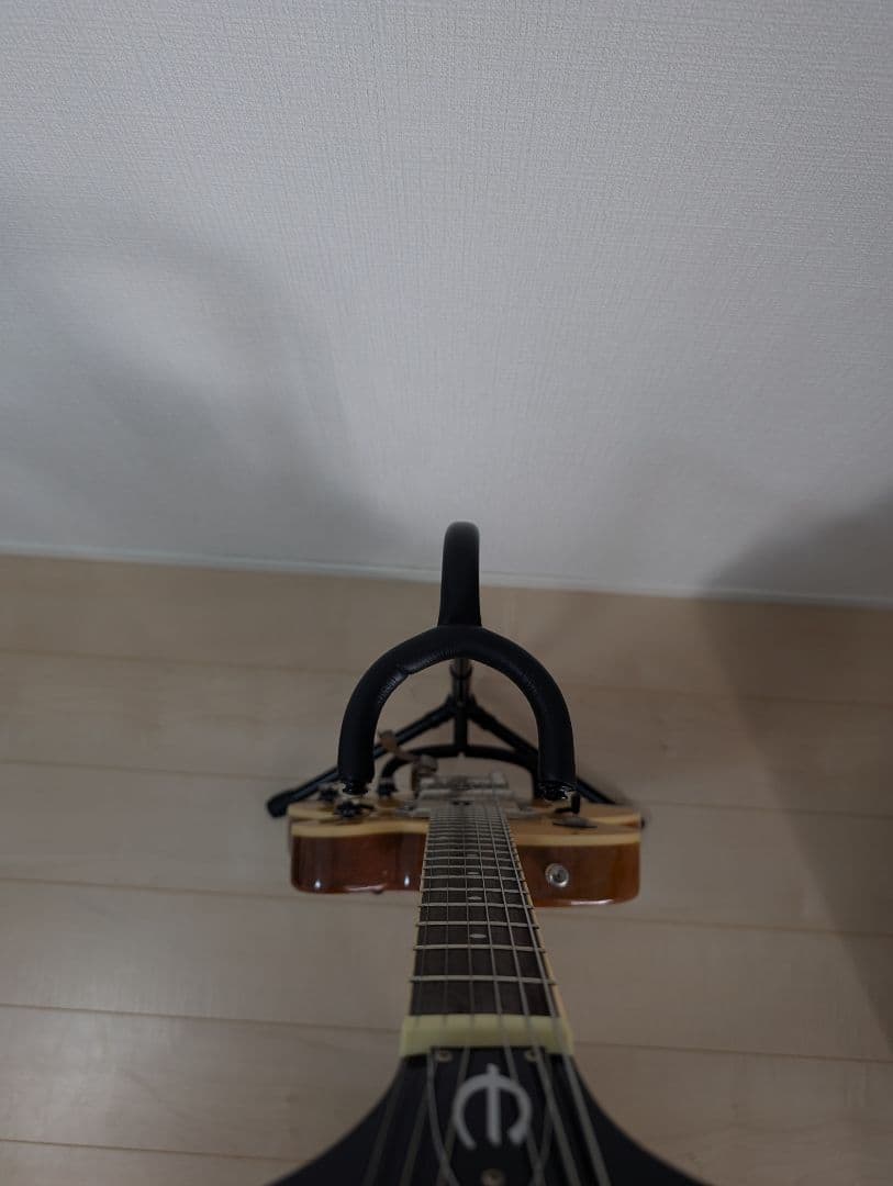 Epiphone Wildkat エピフォン　ワイルドキャット　ビグスビ―付