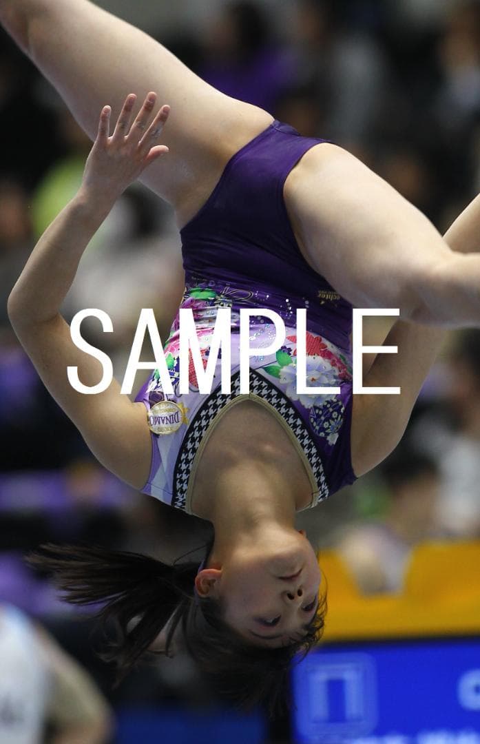 【けろさん】宮田各種