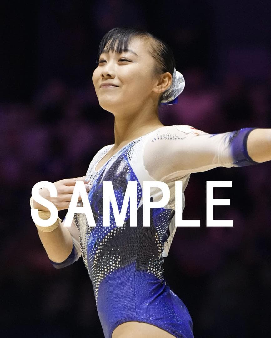 【けろさん】宮田各種