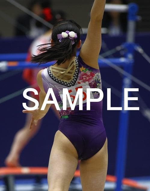 【けろさん】宮田各種