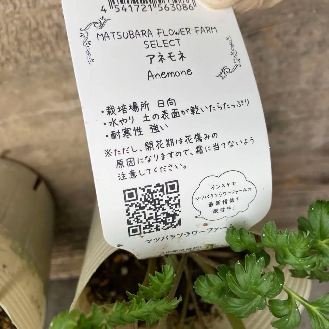 おまとめ3点　✿Dom❤Mia✿プロフ必読✿です。