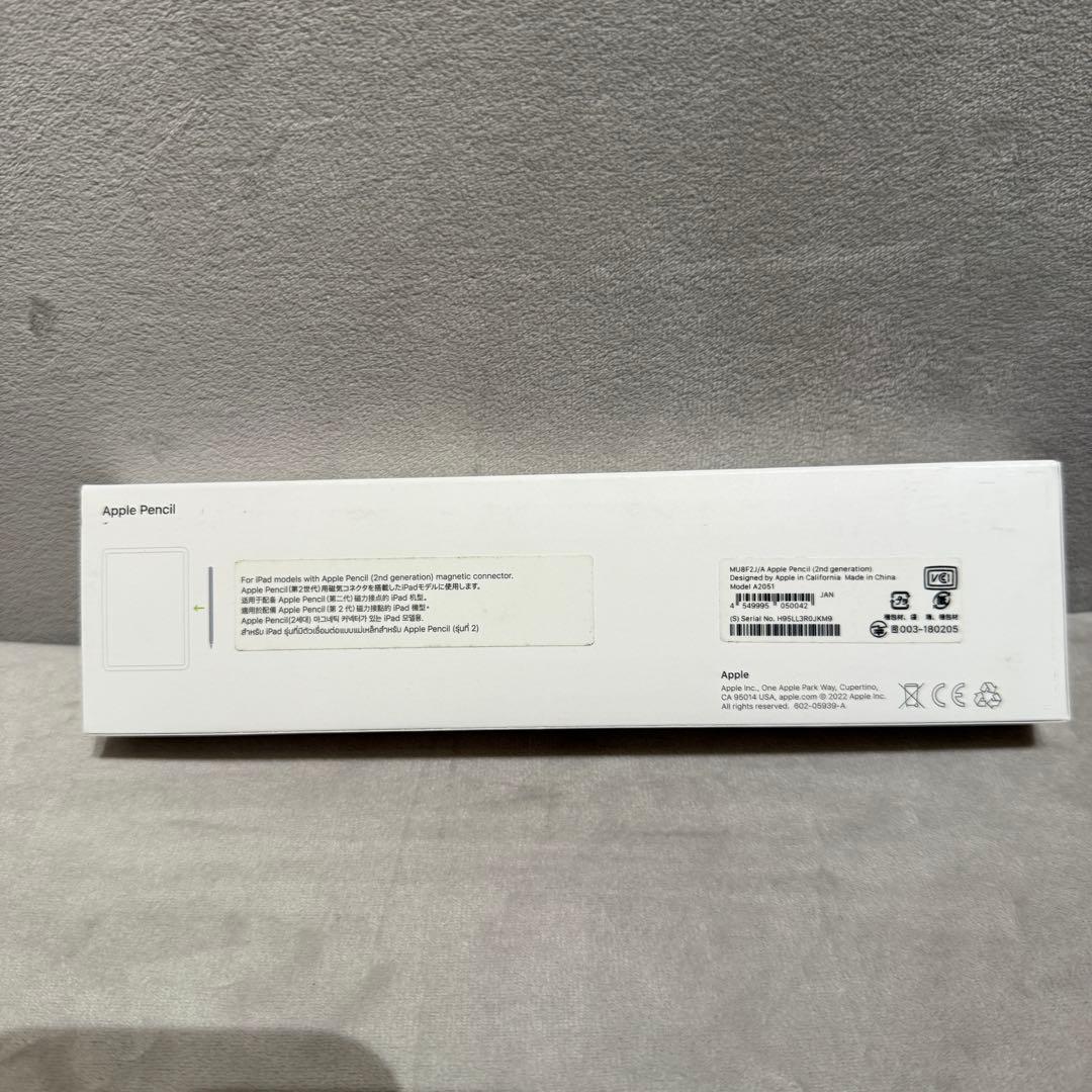 Apple iPad Air 5 ブルー Apple Pencil 2