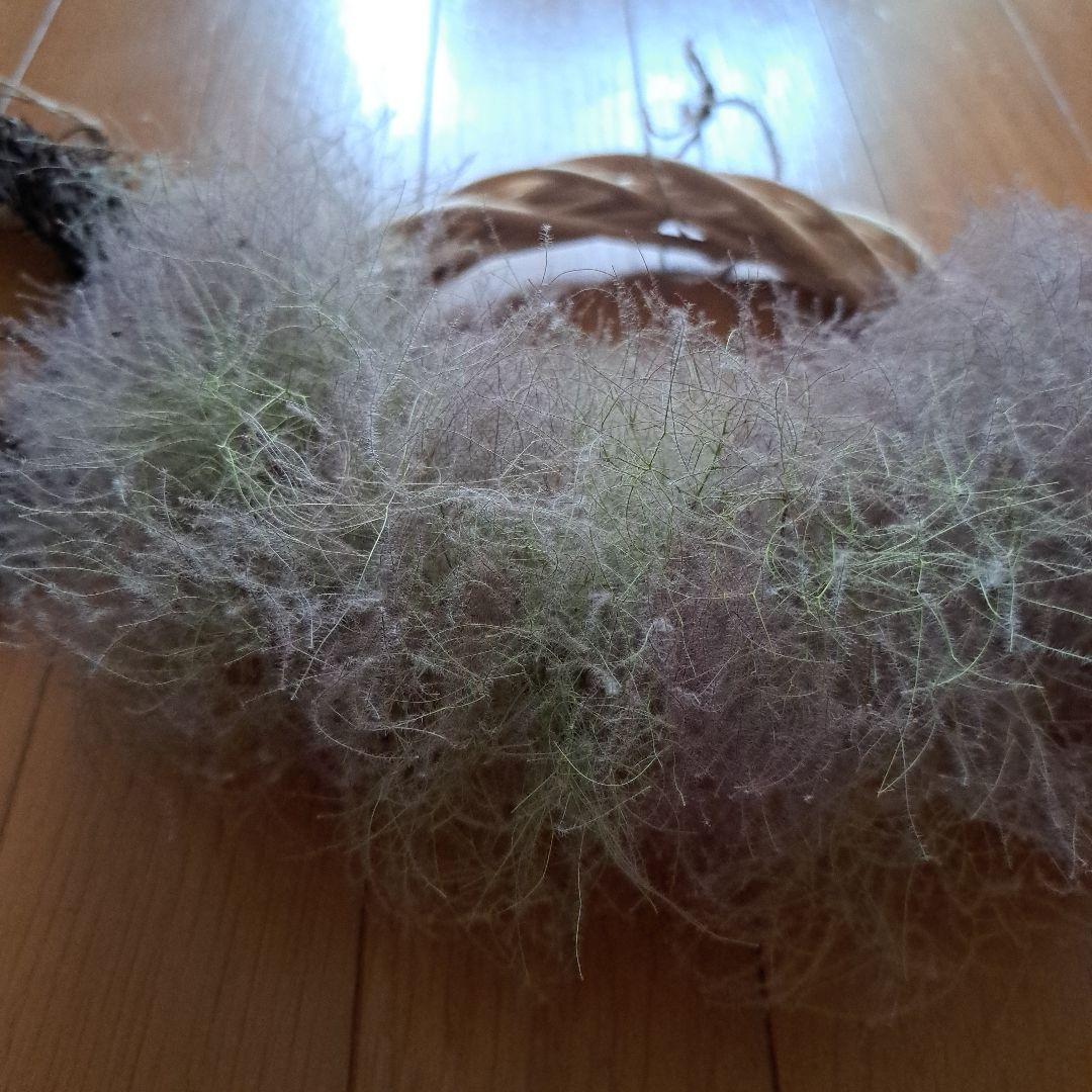 スモークツリー　リース　最後の２つ