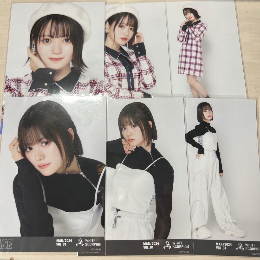 ACE 生写真 WHITESCORPION