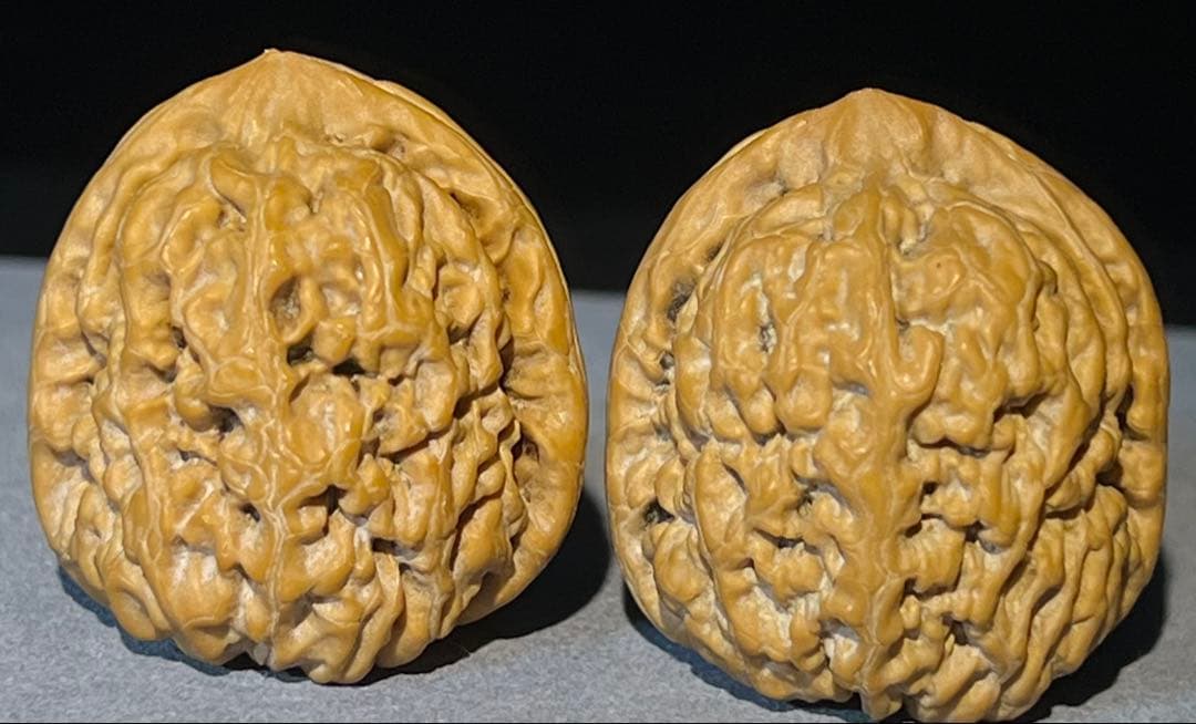 文玩堂：秦俑獅子頭（兵馬俑） 新品」