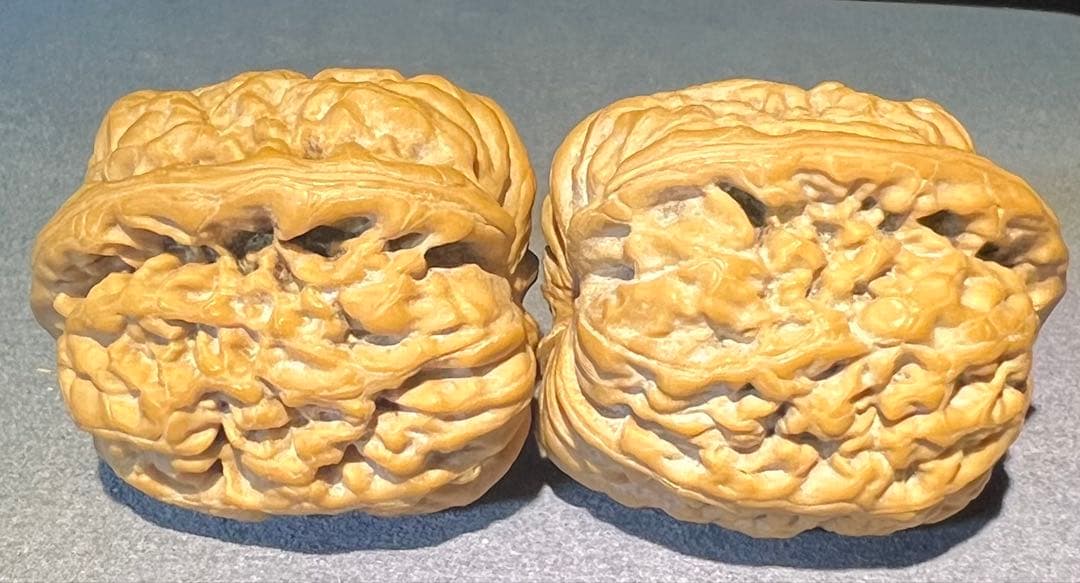 文玩堂：秦俑獅子頭（兵馬俑） 新品」